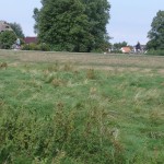 2013_ruegen_hiddensee_06