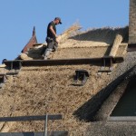 2013_ruegen_schaprode_07