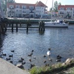 2013_ruegen_wiek_11