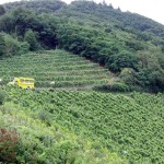 2014_veldenz_bernkastel_kues_15