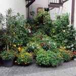 2014_veldenz_herrstein_27