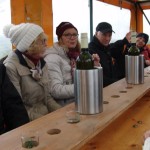 2015_oppenheim_planwagenfahrt_03