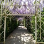 2016_coburg_stadtfuehrung_03